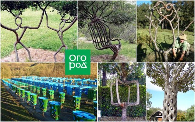 Арбоскульптура на даче своими руками: интересные идеи