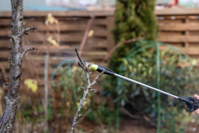 Что делать, если упустили весеннее опрыскивание сада