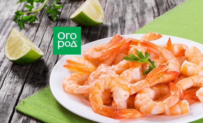 kak-pravilno-chistit-varit-i-est-krevetki-1b2e35f