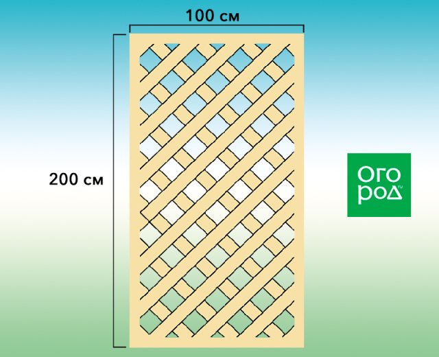 Шпалеры и опоры для клематисов своими руками – идеи и схемы
