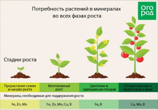 Зачем закапывать под дерево гвозди, подковы и прочее железо 