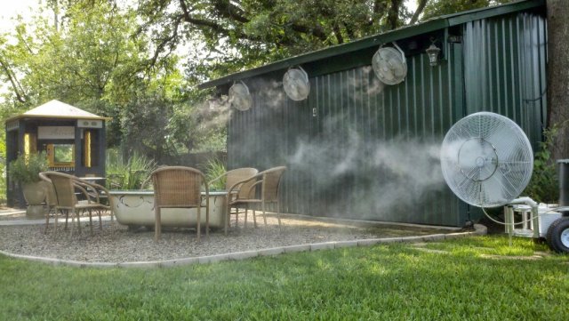 7 проверенных способов защитить виноград от возвратных весенних заморозков