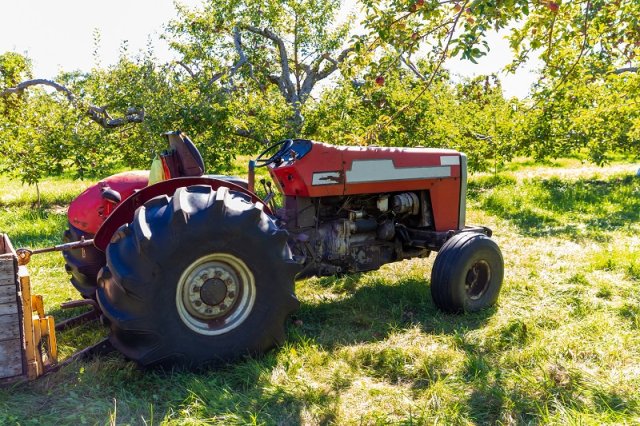 Куда девать остатки профилированной мембраны PLANTER? Три удачных варианта 