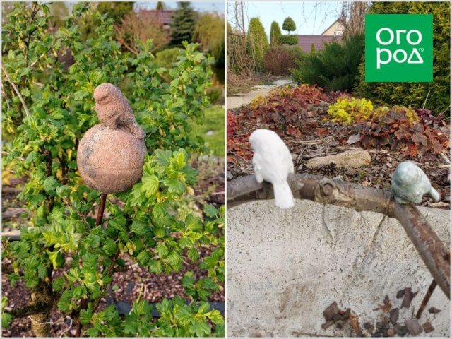 Роскошный сад с ржавчиной и бетоном?