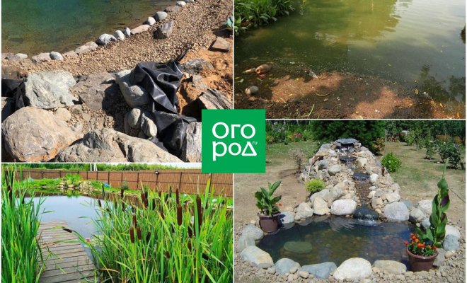 samye-chastye-oshibki-pri-stroitelstve-pruda-kotorye-vse-portjat-d29a82a