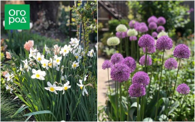 Создать роскошный сад и… перевезти его в новое место