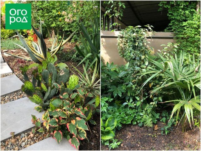 Создать роскошный сад и… перевезти его в новое место