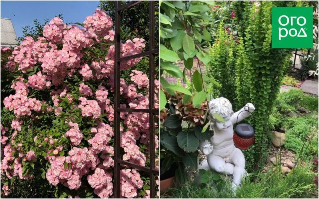 Создать роскошный сад и… перевезти его в новое место