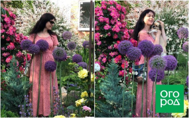 Создать роскошный сад и… перевезти его в новое место