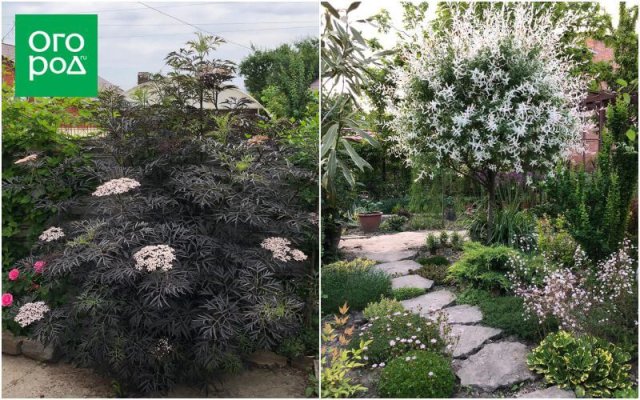 Создать роскошный сад и… перевезти его в новое место