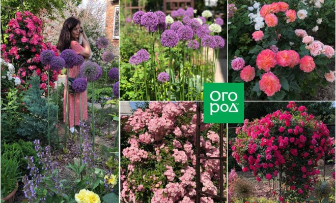 sozdat-roskoshnyj-sad-i-perevezti-ego-v-novoe-mesto-fdbb67b