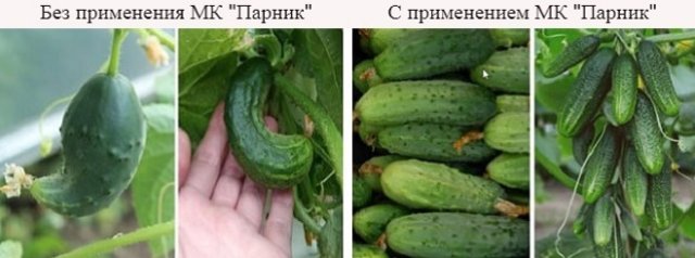 Внекорневая подкормка бывает не только водной 