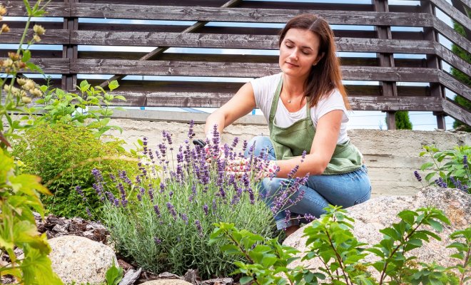 20-modnyh-reshenij-v-landshaftnom-dizajne-kotorye-prosto-povtorit-010072f