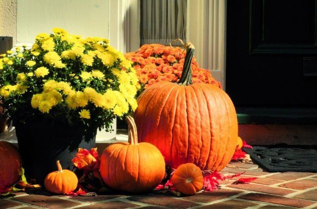 20 модных решений в ландшафтном дизайне, которые просто повторить