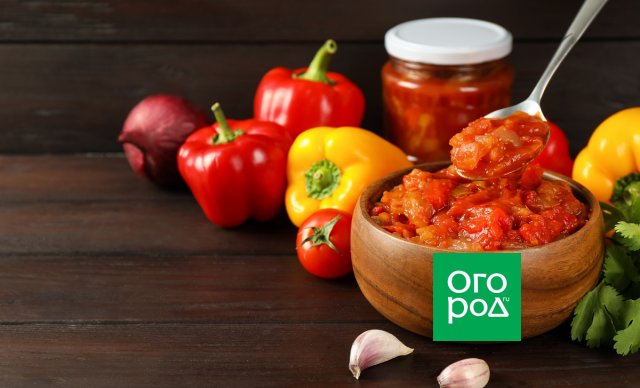 Блюда, которые можно приготовить из томатов (и ими же украсить) 