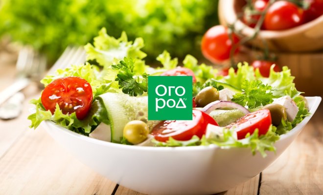 chto-prigotovit-iz-svezhih-ogurcov-salaty-i-ne-tolko-4b576eb
