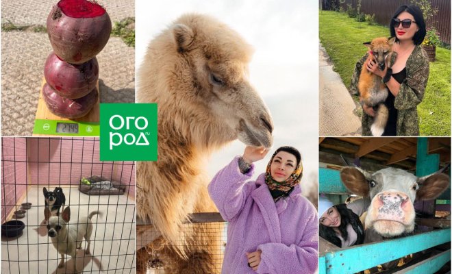 fermer-s-manikjurom-ot-sobstvennoj-fermy-do-spasenija-dikih-zhivotnyh-8afef46