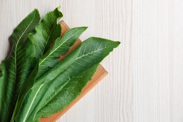 Как использовать листья хрена: 5 идей для сада и огорода 