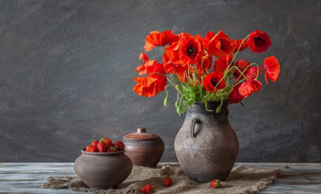 kak-primenit-staruju-posudu-na-dache-15-idej-4094787