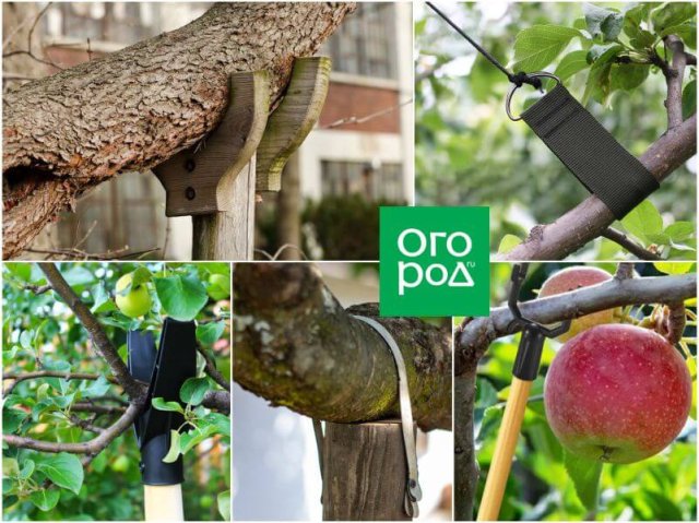 Подпорки под деревья: когда и где ставить 