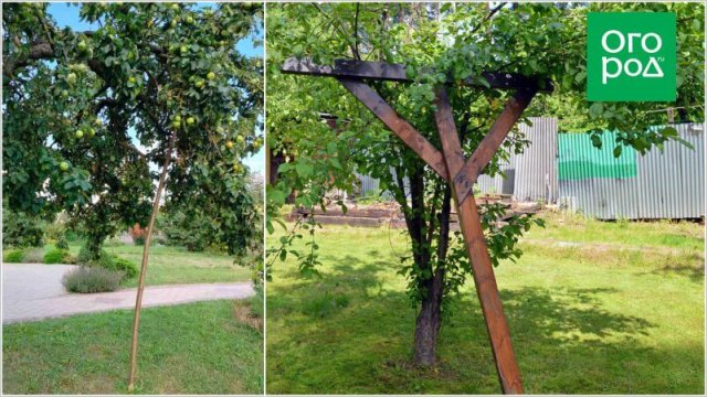 Подпорки под деревья: когда и где ставить 