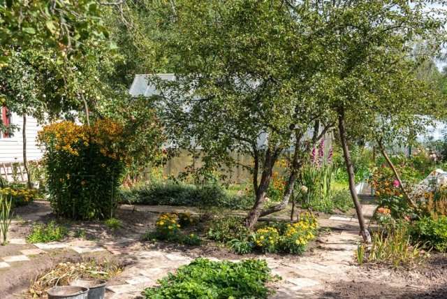 Подпорки под деревья: когда и где ставить 