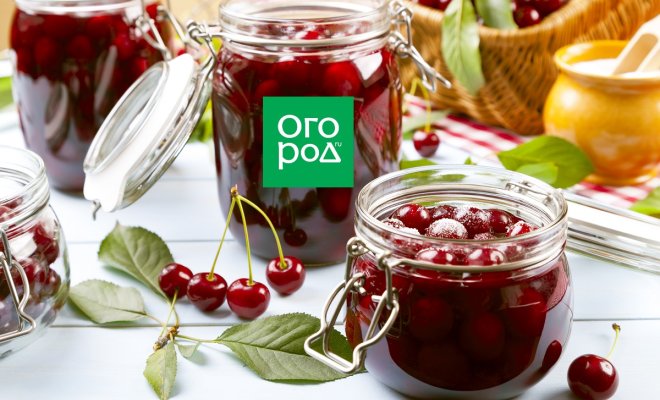 recepty-zagotovok-iz-vishni-na-zimu-kompot-varene-vino-jagody-v-sobstvennom-soku-1aed0fd