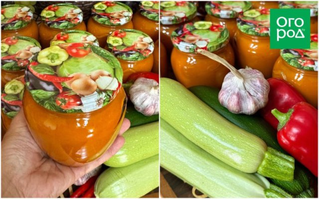 Три рецепта из кабачков от блогера Яны Редозубовой 