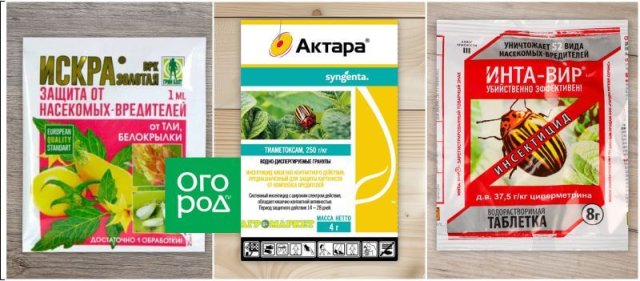 10 средств от белокрылки: народные, био и промышленные 