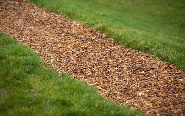 Куда девать щепу от веток: 5 полезных вариантов 