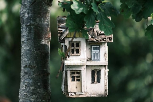 Куда девать старые доски: 7 вариантов 