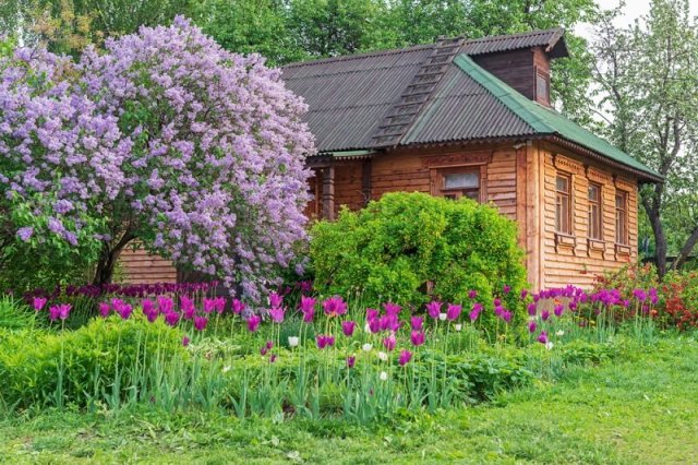 Сад в стиле Арт энд Крафт 