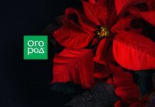 «Устраиваем темную»! – 5 растений, которым нужна темнота