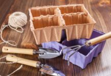 9 вещей для выращивания рассады, которые нужно заготовить уже с осени