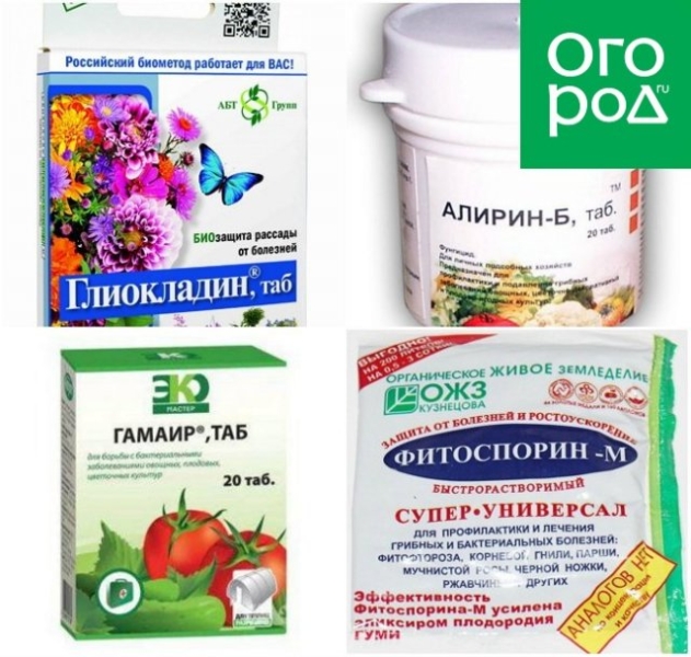 9 вещей для выращивания рассады, которые нужно заготовить уже с осени 