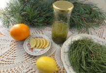 Что вкусного и полезного приготовить из… хвои