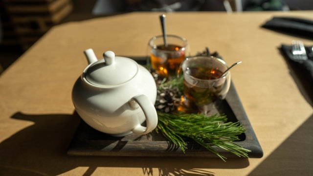 Что вкусного и полезного приготовить из… хвои 