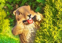 Долой скучных гномов! Необычные фигуры для сада