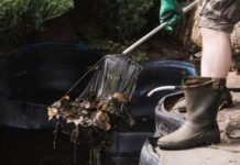 Готовим пруд к зиме: советы профессионала