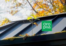 Как подготовить крышу дома к зиме: пошаговая инструкция