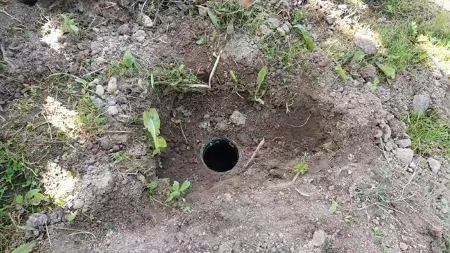 Как поймать крота с помощью обычной трехлитровой банки 