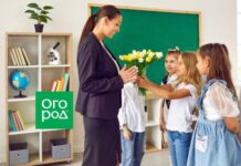 Как поздравить педагогов с Днем учителя и что им подарить