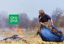 Как сжигать ветки и листья на даче и не получить штраф