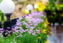 Клумбы вдоль забора: схемы для солнца и тени