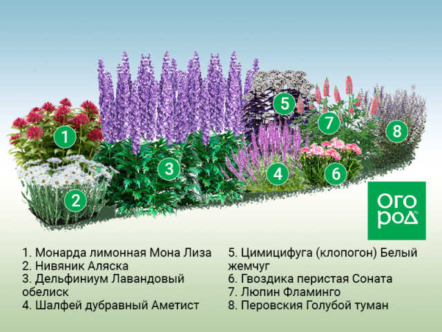 Клумбы вдоль забора: схемы для солнца и тени 