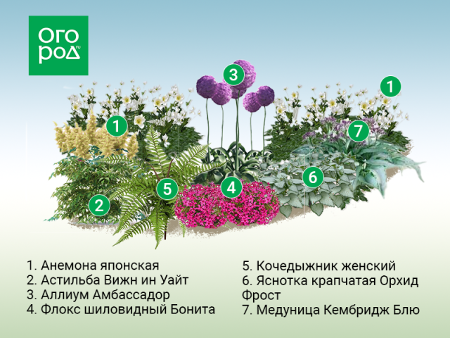 Клумбы вдоль забора: схемы для солнца и тени 