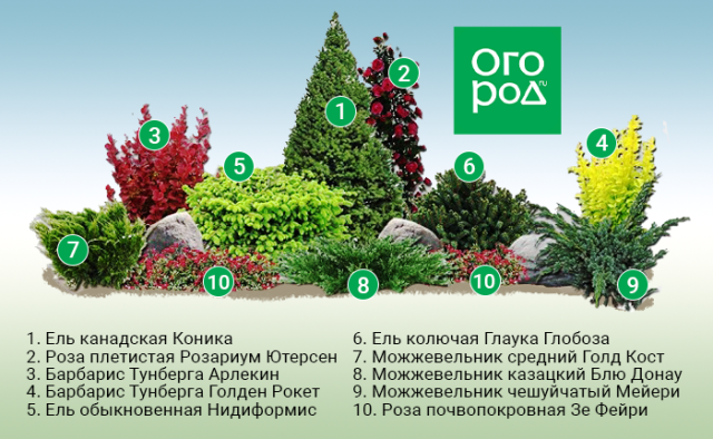 Клумбы вдоль забора: схемы для солнца и тени 