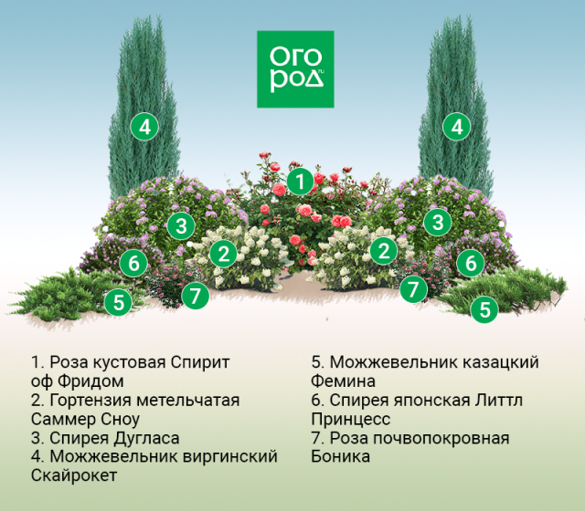 Клумбы вдоль забора: схемы для солнца и тени 