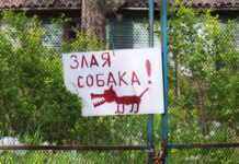 Смешные таблички на забор и адресники – украшаем участок с юмором