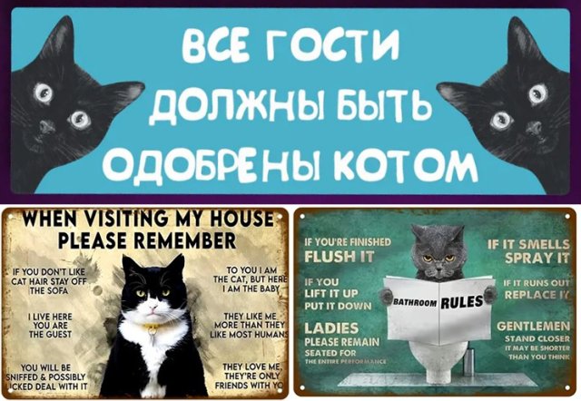 Смешные таблички на забор и адресники – украшаем участок с юмором 